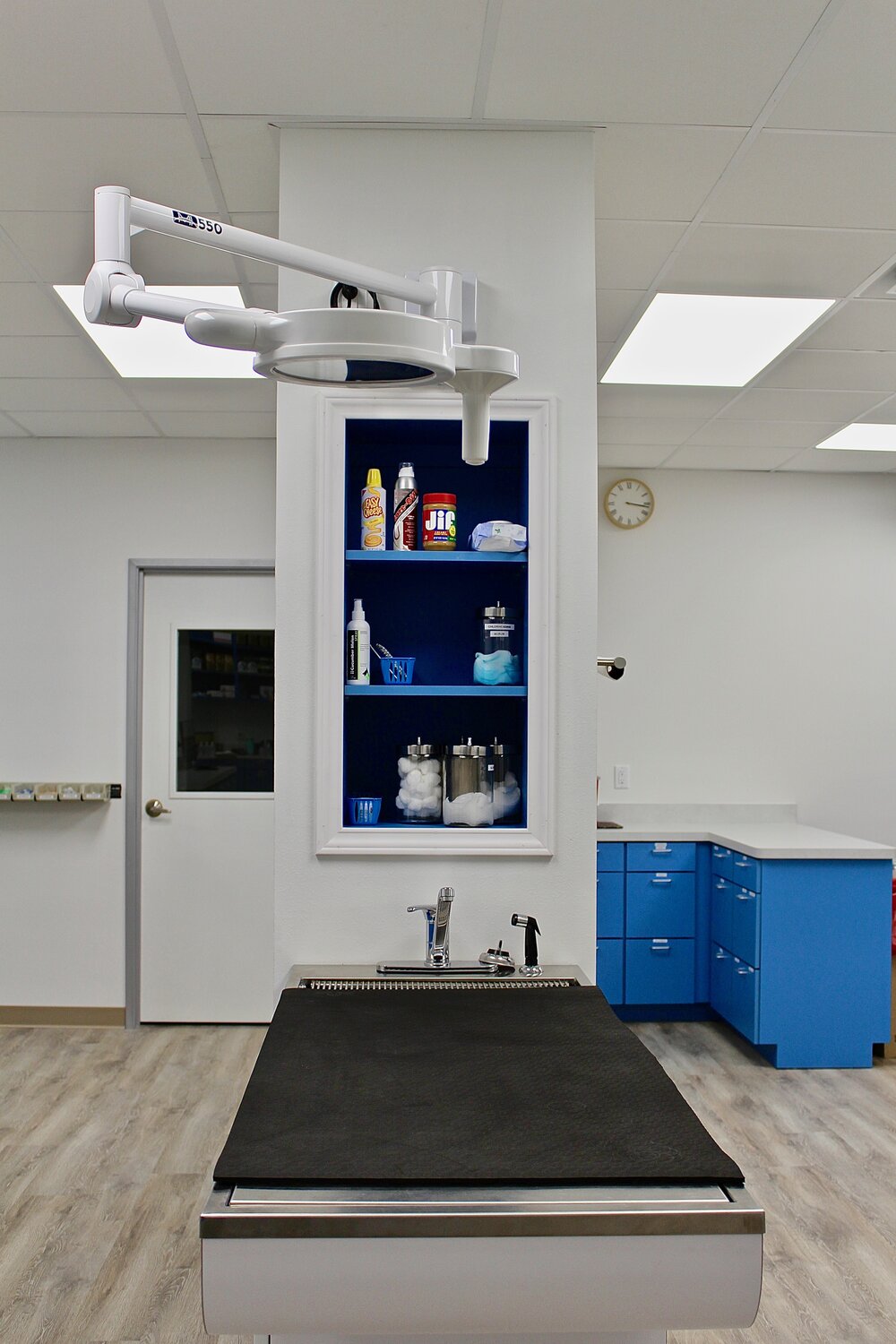 Trail Pet Hospital facility with an examination table