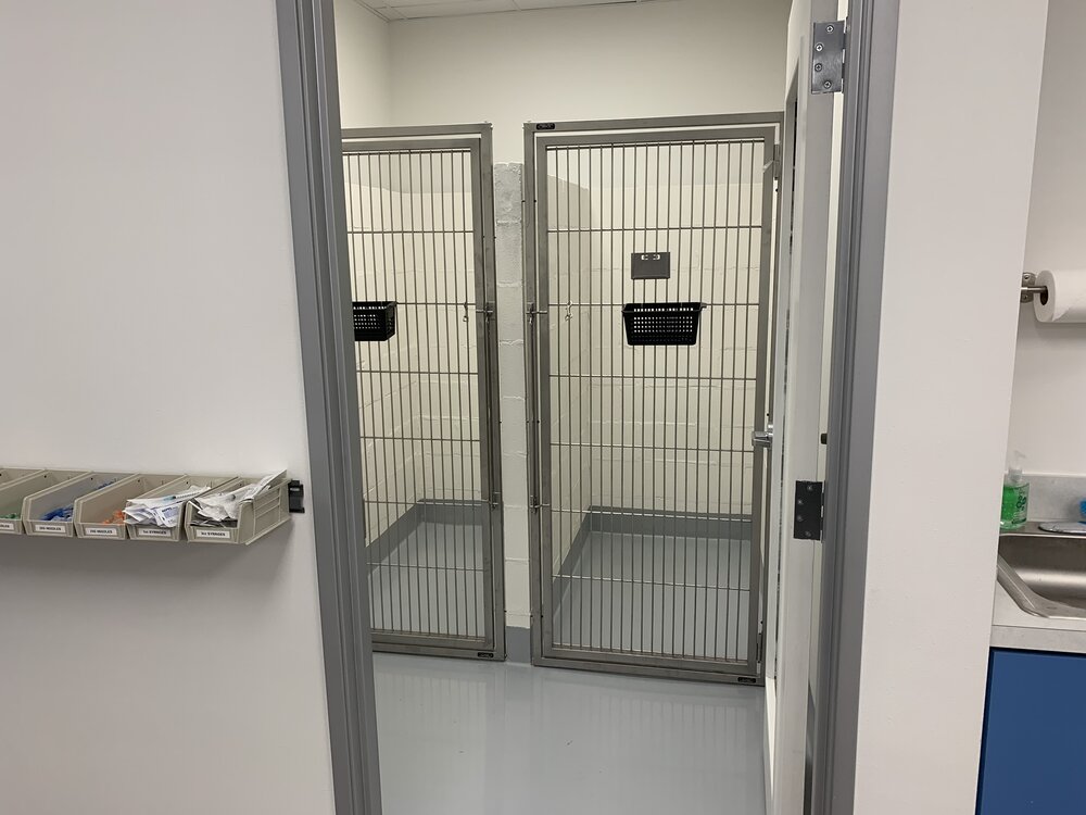 Trail Pet Hospital facility room showing two big cages