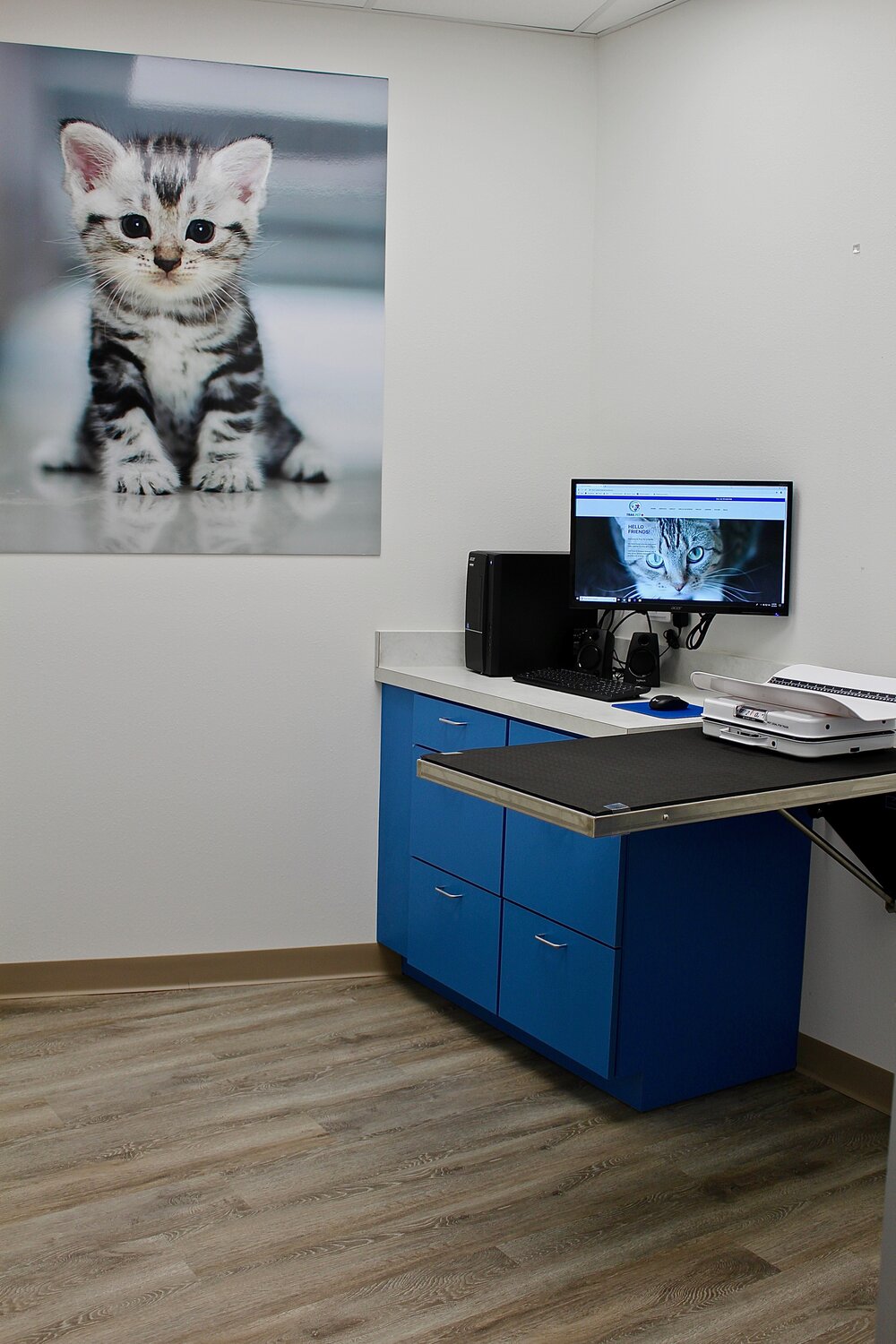 Trail Pet Hospital facility with an examination table and desktop computer for cats