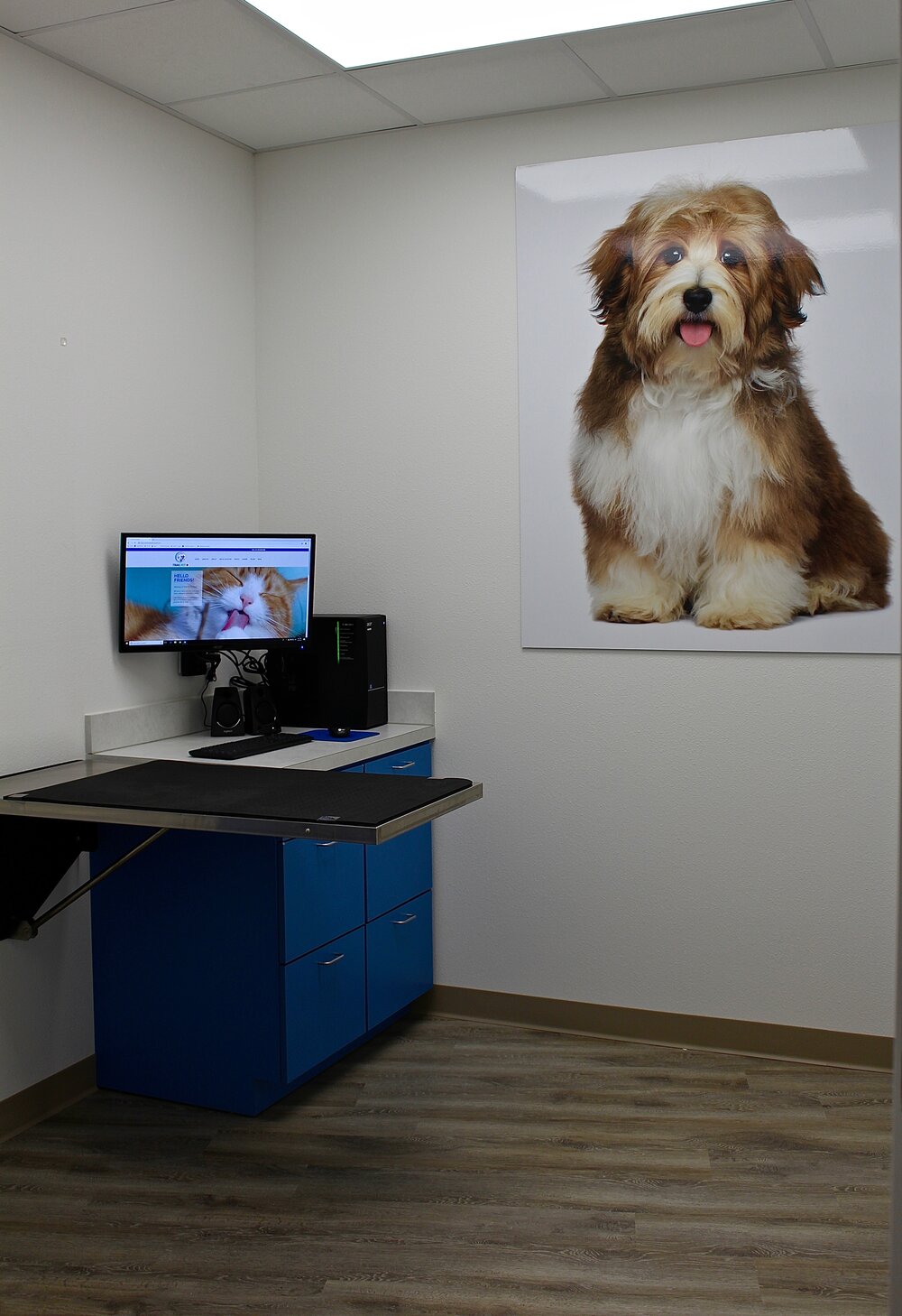 Trail Pet Hospital facility with an examination table and desktop computer for dogs